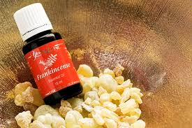 Frankincense essential Oil